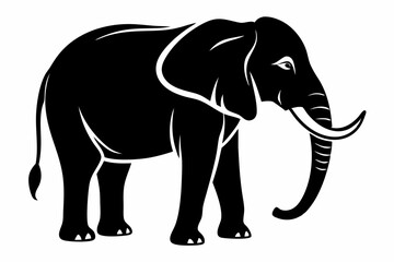 elephant animal line art silhouette vector illustration