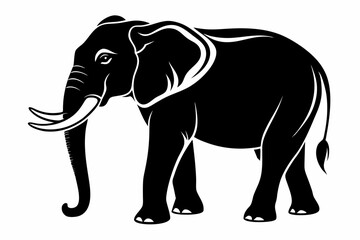 Fototapeta premium elephant animal line art silhouette vector illustration