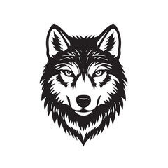 Fototapeta premium wolf head vector