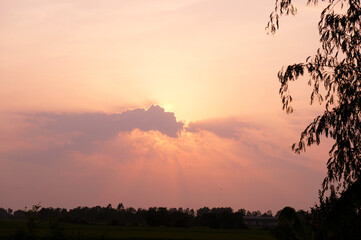 The sunlight in the evening sky.