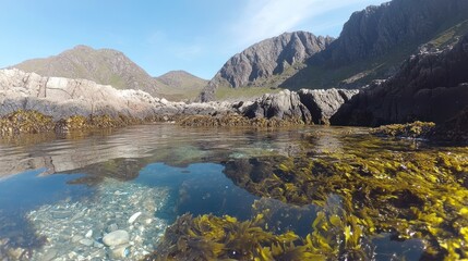 Obraz premium Scottish Highlands Coastal Serenity: Crystal Clear Waters and Kelp Forests