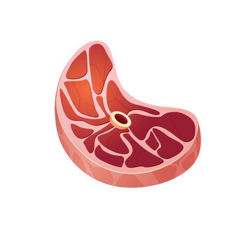 recommend clip art: Raw Meat vector icon. raw beef meat vector illustration. Red meat butcher cuts vector isolated on white background