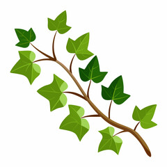 green leaves isolated on white background