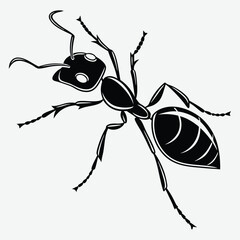 Ant image silhouette design vector art and illustration