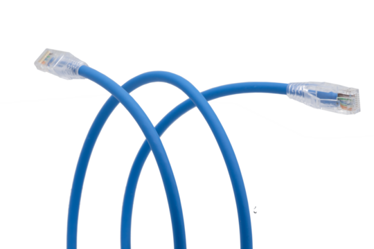 Blue network cables with molded RJ45 plug on transparent background (PNG File)	
