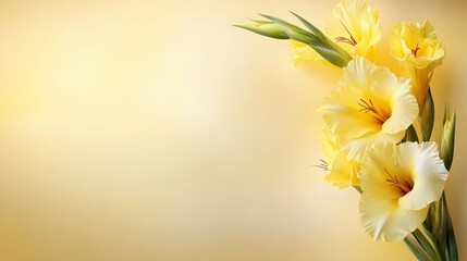 Minimalist style yellow gladiolus flower arrangement nature floral photography bright background close-up view