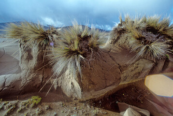 Chimborazo