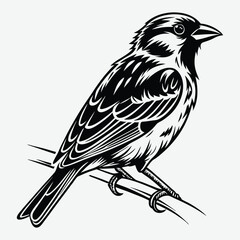 Sparrow image silhouette design vector art and illustration