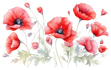 Naklejka premium PNG Flower poppy plant inflorescence.