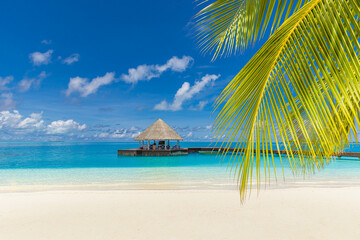 aradise island beach. Summer tropical, sea waves, sunny sand sky palm leaves over water villas. Luxury travel vacation destination. Exotic tourism landscape. Amazing nature freedom coast top Maldives