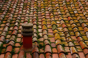 Fototapeta premium Detailed close-up of weathered red tile rooftop covered in patches of moss and vegetation, small chimney. The scene captures the rustic charm of aged architecture.