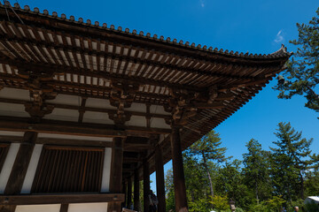 日本、世界遺產、唐招提寺、寺院、奈良、木造建築、鑑真、律宗の総本山
