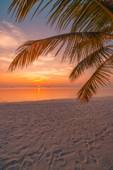 Tranquil closeup calm sea water waves with palm trees. Beautiful sunrise sunset sunlight. Tropical island beach landscape exotic shore coast. Summer vacation, holiday amazing nature. Relax paradise