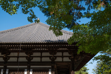 日本、世界遺產、唐招提寺、寺院、奈良、木造建築、鑑真、律宗の総本山