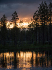Evening sky seen through pine trees by a small lake in the forests of eastern Finland in summer