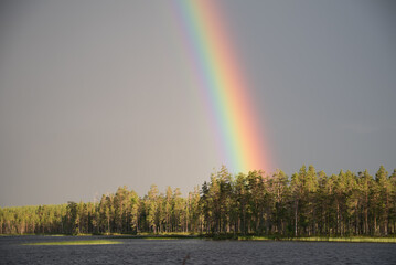 A rainbow against a grey sky leading to the green forests by  a lake in eastern Finland in summer