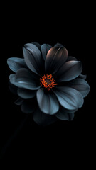 Elegant dark floral artwork featuring a black flower with orange center on a dramatic black background creating a mysterious and luxurious aesthetic