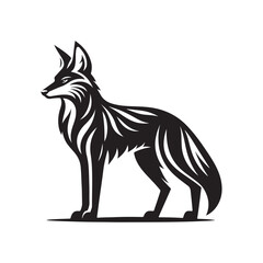 vector illustration of a wolf