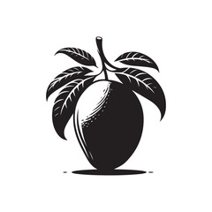 vector illustration of a coconut