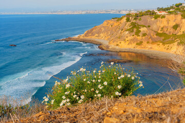 Beautiful Coastal View of Palos Verdes Estates Shoreline Preserve in California