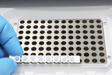 Hand with scientist's glove holding a rack of laboratory PCR tubes. Diagnostic tests.