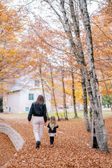 Fototapeta premium Mother and a little girl walk along a path in an autumn park towards the house. Back view