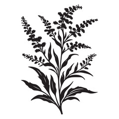 Goldenrod Silhouette Vector Illustration of Wildflower Plant Design