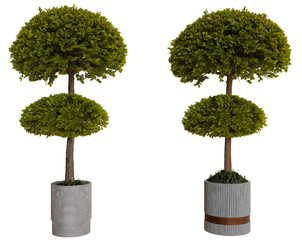 Two double-top topiary trees in grey planters