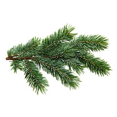 [Transparent Background PNG]Christmas Fir Branch Decorated with Frost