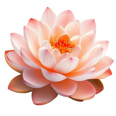 Fototapeta premium [Transparent Background PNG]Beautiful Lotus Flower in Soft Colors