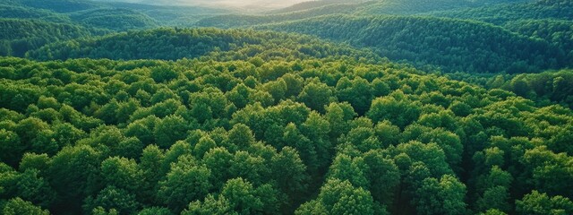 drone shooting view of beautiful nature. Selective focus.