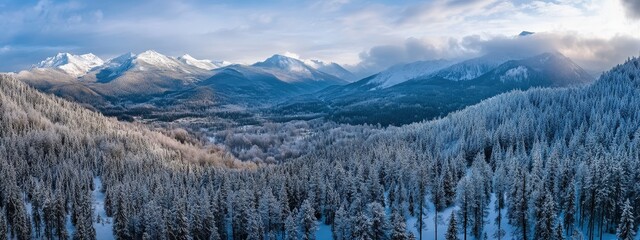 drone shooting view of beautiful nature. Selective focus.