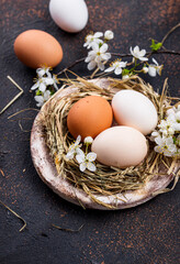 Easter composition with eggs and blooming branch