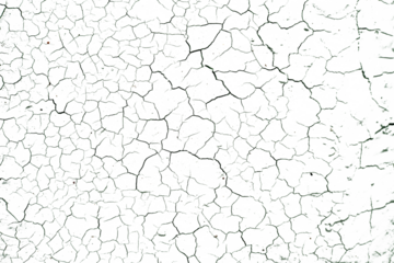 Cracked soil texture transparent