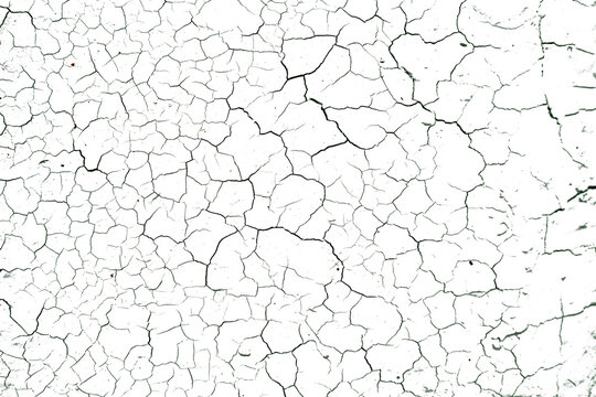 Cracked soil texture transparent