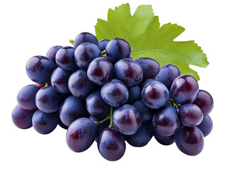 Fototapeta premium [Transparent Background PNG]Fresh Cluster of Dark Purple Grapes with Leaf