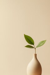 Minimalist still life with green plant in ceramic vase against beige background, symbolizing nature, simplicity, and eco-friendly interior design