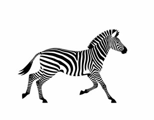 Fototapeta premium Running Zebra Black and White Illustration