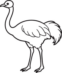 ostrich emu bird line art, black outline, vector and illustration, coloring book page line art drawing