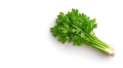 Fresh bunch of vibrant green parsley on white background
