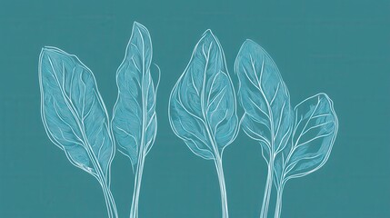 High quality illustration Minimalist line drawing of spinach leaves in blue, elegant and modern