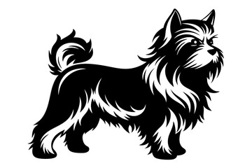 affenpinscher line art silhouette vector illustration
