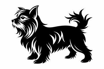 affenpinscher line art silhouette vector illustration