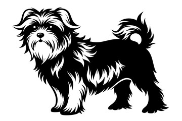 affenpinscher line art silhouette vector illustration