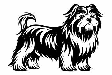 affenpinscher line art silhouette vector illustration