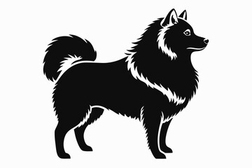 american eskimo dog line art silhouette vector illustration