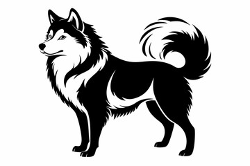 american eskimo dog line art silhouette vector illustration