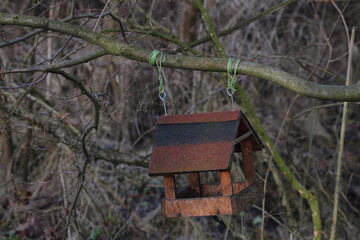 Bird feeder house hanged on a tree 