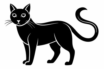 Obraz premium cat line art silhouette vector illustration