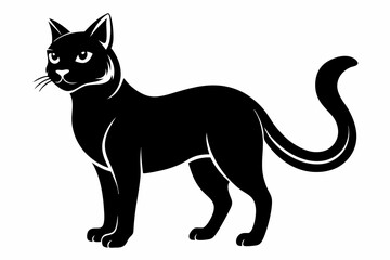 Obraz premium cat line art silhouette vector illustration